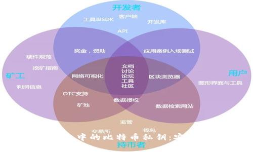 理解Tokenim平台中的比特币私钥：安全性、存储与管理