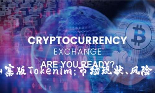 全面解析山寨版Tokenim：市场现状、风险与投资策略