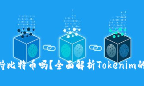 Tokenim支持比特币吗？全面解析Tokenim的功能与优势