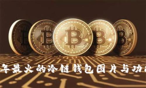 2023年最火的冷链钱包图片与功能解析
