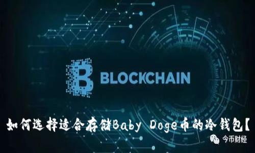 如何选择适合存储Baby Doge币的冷钱包？