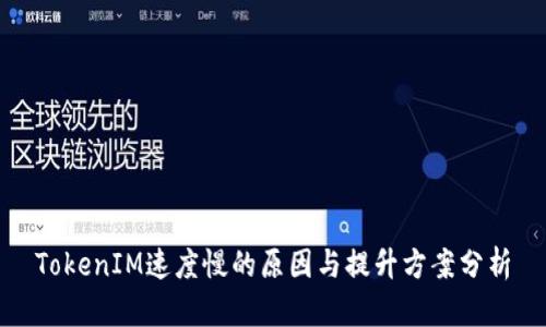 TokenIM速度慢的原因与提升方案分析