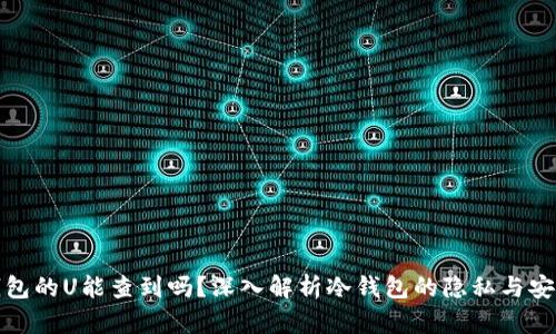 冷钱包的U能查到吗？深入解析冷钱包的隐私与安全性