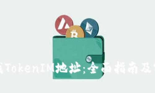 如何查找TokenIM地址：全面指南及实用技巧