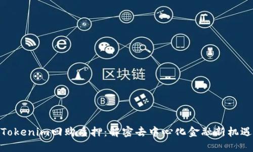 Tokenim回购质押：解密去中心化金融新机遇