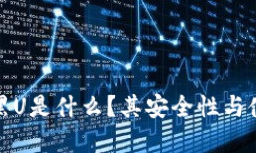 冷钱包中的黑U是什么？其安全性与使用指南详解