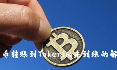 关于火币转账到Tokenim未到账的解决方案