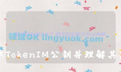 如何获取TokenIM公钥并理解其使用场景