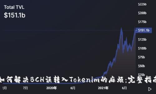 如何解决BCH误转入Tokenim的麻烦：完整指南