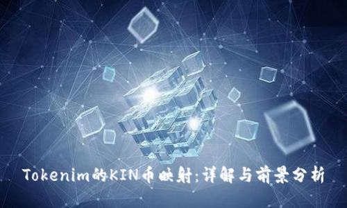 Tokenim的KIN币映射：详解与前景分析