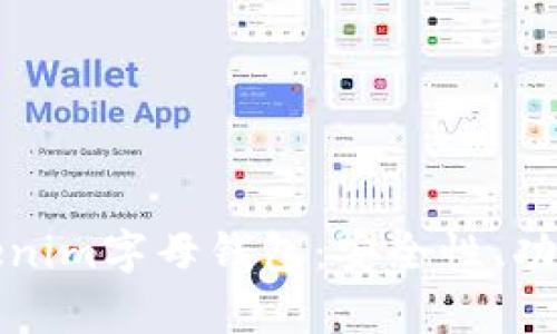 全面解析Tokenim字母钱包：安全性、功能及使用指南
