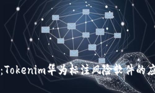 深入解析：Tokenim华为标注风险软件的应用与前景