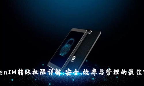 TokenIM转账权限详解：安全、效率与管理的最佳实践