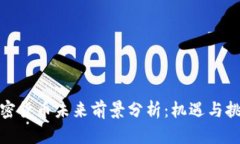 加密货币未来前景分析：