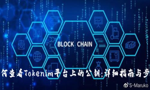 如何查看Tokenim平台上的公钥：详细指南与步骤
