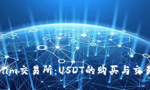Tokenim交易所：USDT的购买与交易指南