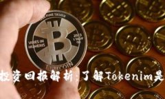 Tokenim投资回报解析：了解