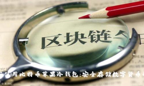 如何选择与使用比特币苹果冷钱包：安全存储数字货币的终极指南