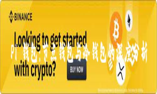 Pi 钱包：节点钱包与冷钱包的深度分析