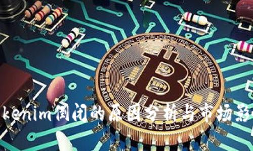 Tokenim倒闭的原因分析与市场影响
