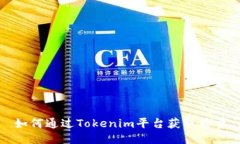 如何通过Tokenim平台获取能