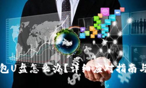 丢失冷钱包U盘怎么办？详细应对指南与解决方案