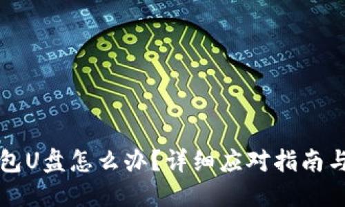 丢失冷钱包U盘怎么办？详细应对指南与解决方案