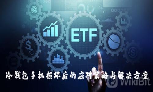 冷钱包手机损坏后的应对策略与解决方案