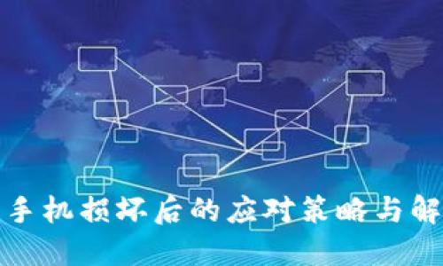冷钱包手机损坏后的应对策略与解决方案