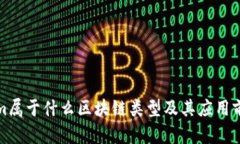 Tokenim属于什么区块链类型