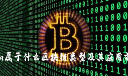 Tokenim属于什么区块链类型及其应用前景分析