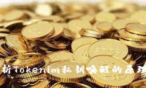 完全解析Tokenim私钥唤醒的原理与实践