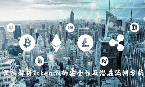 深入解析Tokenim的安全性及潜在漏洞分析