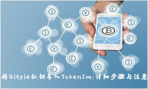 如何将Bitpie私钥导入TokenIm：详细步骤与注意事项