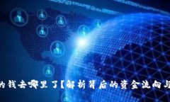 Tokenim的钱去哪里了？解析