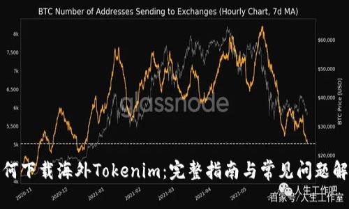 如何下载海外Tokenim：完整指南与常见问题解答
