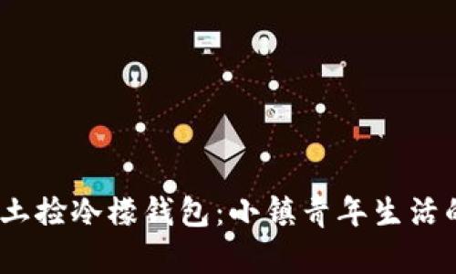 biasoti闰土捡冷檬钱包：小镇青年生活的微观视角
