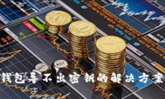XRP冷钱包导不出密钥的解