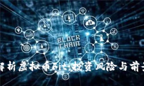全面解析虚拟币Fit：投资风险与前景展望
