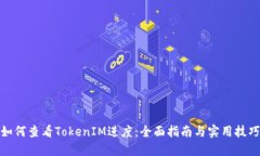 如何查看TokenIM进度：全面