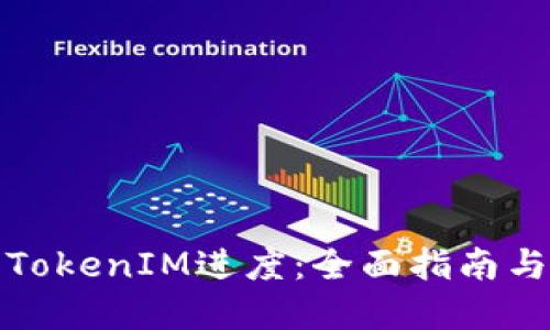 如何查看TokenIM进度：全面指南与实用技巧