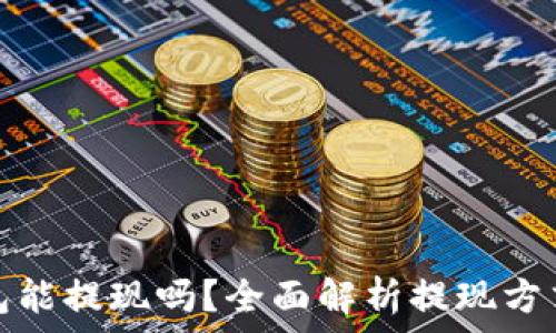   
数字钱包能提现吗？全面解析提现方式与流程
