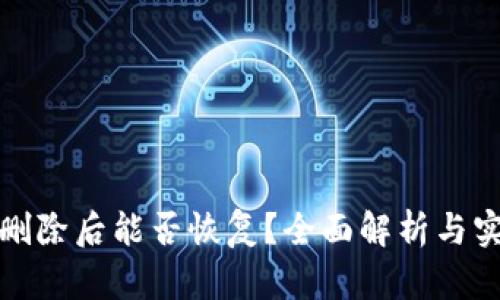 冷钱包删除后能否恢复？全面解析与实用建议