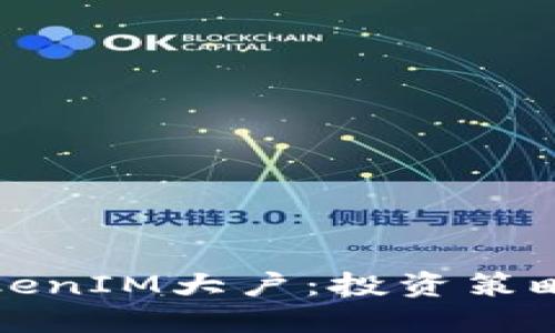 深入了解TokenIM大户：投资策略与风险管理