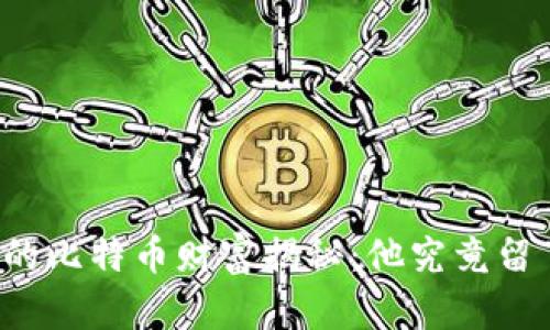 中本聪的比特币财富揭秘：他究竟留了多少？