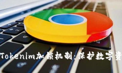 深入解析Tokenim加锁机制：保护数字资产的安全