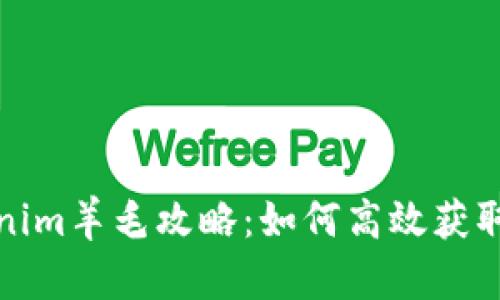 Tokenim羊毛攻略：如何高效获取利润