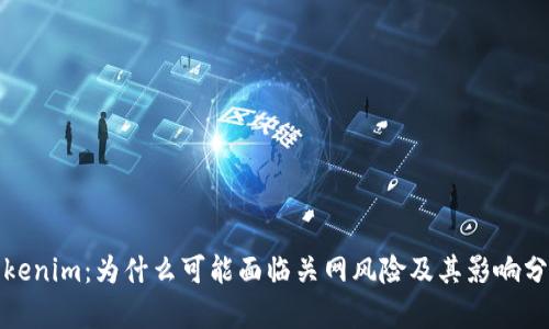 Tokenim：为什么可能面临关网风险及其影响分析