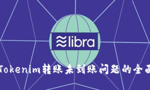 解决Tokenim转账未到账问题的全面指南