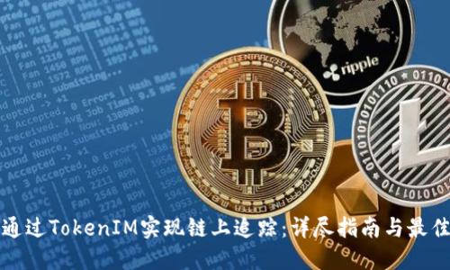 如何通过TokenIM实现链上追踪：详尽指南与最佳实践